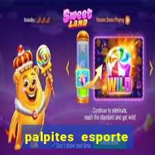 palpites esporte net jogos de hoje